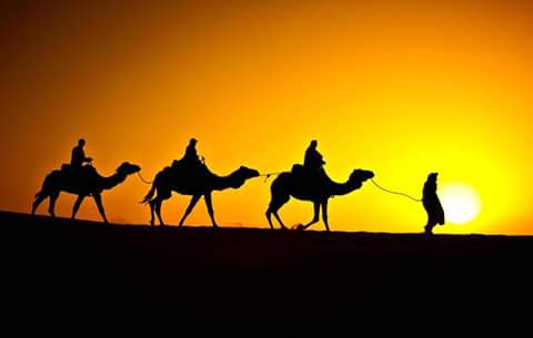 Tours - Desert - Morocco