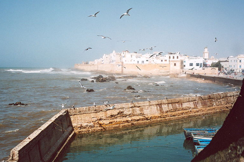 VOLUBILIS -CASABLANCA- MARRAKECH TOUR